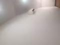 专业房屋刷漆、瓷砖装修...........
