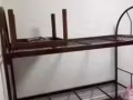 普通房床位出租