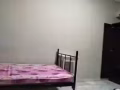 寻找一位女搭房-兀兰