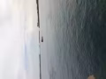 狮城名侦探，私家侦探，守口如瓶，绝对保密