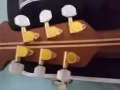 Ovation1869