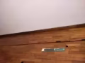 魚竿漁具