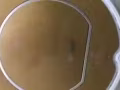 我想维休robot
