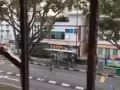 波东巴西单间出租