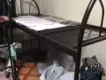 上下铺铁床