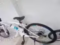全新自行車轉讓
