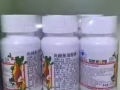 专业美容+减肥+理疗++++++