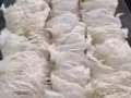 美人燕窩