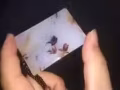 自己收藏的礼物