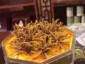 冬虫夏草营养品