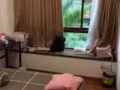  【近实龙岗地铁站】现租豪华公寓大普通房