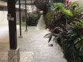 巴耶利岜地铁站和达科达地铁站高级公寓主人房出租，电话85152251