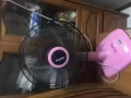 二房东看过来