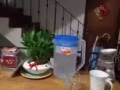 房间出租