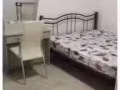 老文理夫妻房出租，可报地址