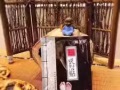 排毒美容，清体养颜---顺芝堂吸附贴