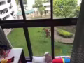 兀兰干净整洁的大房间，带落地窗，独立卫生间，人少干净，环境优雅