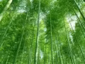 现有体育场对面，离地铁站近，男搭房一位房间大，安静，干净。水电网全包，有空调，可