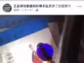 純正千年斑彩螺 萬年蜜蠟 琥珀 白南紅 血蜜蠟