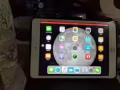 iPadmini3 插卡版 金色