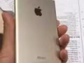 iPhone 6 and iPhone 6plus 都是金色的，64G