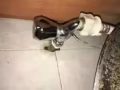 水工 plumber service and handyman service 