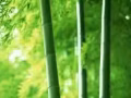 厨师订单！实时更新！不成功不收费！欢迎咨询！微信:ls7347086