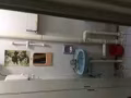 女生搭房3人間
