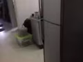 冰箱 洗衣机
