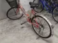 三巴旺女士叫车出售