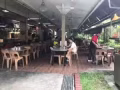 STALL FOR RENT