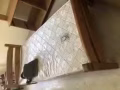 木床一張