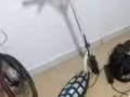 回国急售电动滑板车120