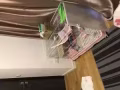 8月17號幫養小兔子兩個月