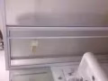 诺维纳私人公寓出租男搭房$350