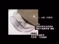 超有效缓解疼痛热敷包! 主要针对宫寒 腰酸背疼 肩膀颈椎疼
