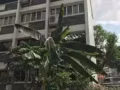 近高文后港三道德福工业区公寓主人房出租，900