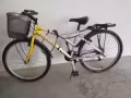 自行車加飛利浦榨汁機120 大成