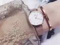 DW 阿尼瑪 都是正品 價格便宜 