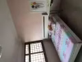 大牌788超大普通房出租