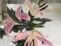正品杜蕾斯避孕套出售价格优惠