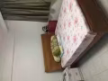 留学寄宿家庭招生  由专业老师管理学生生活以及课后学习辅导，价格公道。
