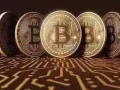 多币种钱包系统开发,交易挖矿分红模式系统开发