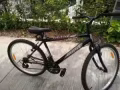 全新自行車