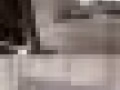 近? 多美歌? 小印度? 公寓房低价出（800—1200）