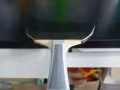 乒乓球