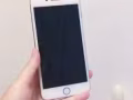 轉手自用金色iPhone8plus 64GB