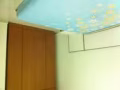 普通房出租