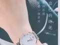 阿尼瑪正品手錶