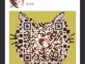 双头电动吸奶器